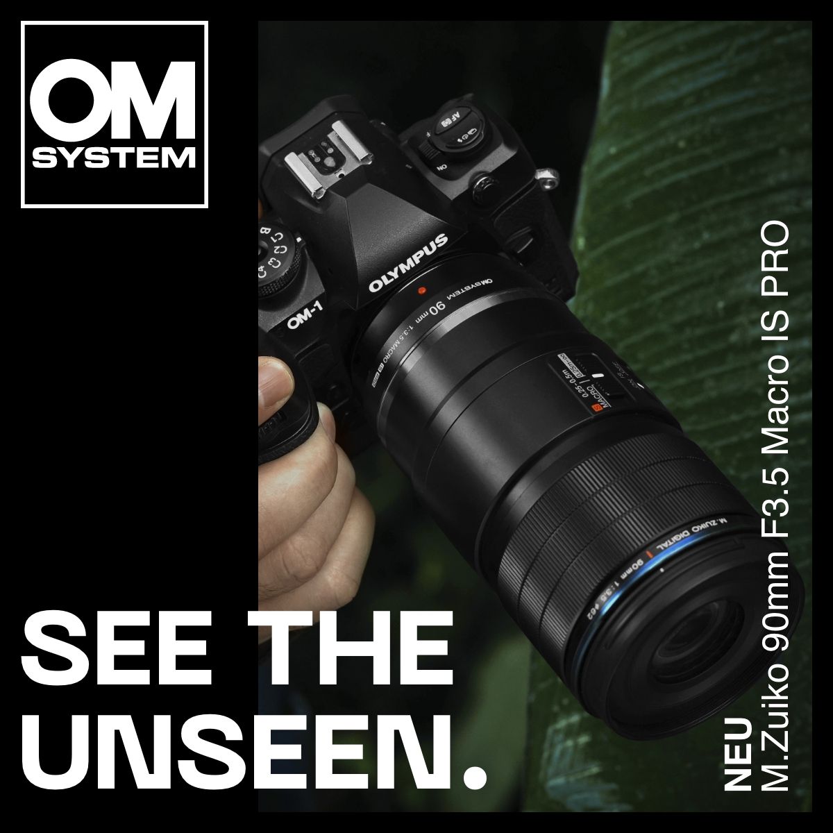 OM System M.Zuiko Digital ED 90mm f/3.5 Macro IS PRO – Foto Lamprechter